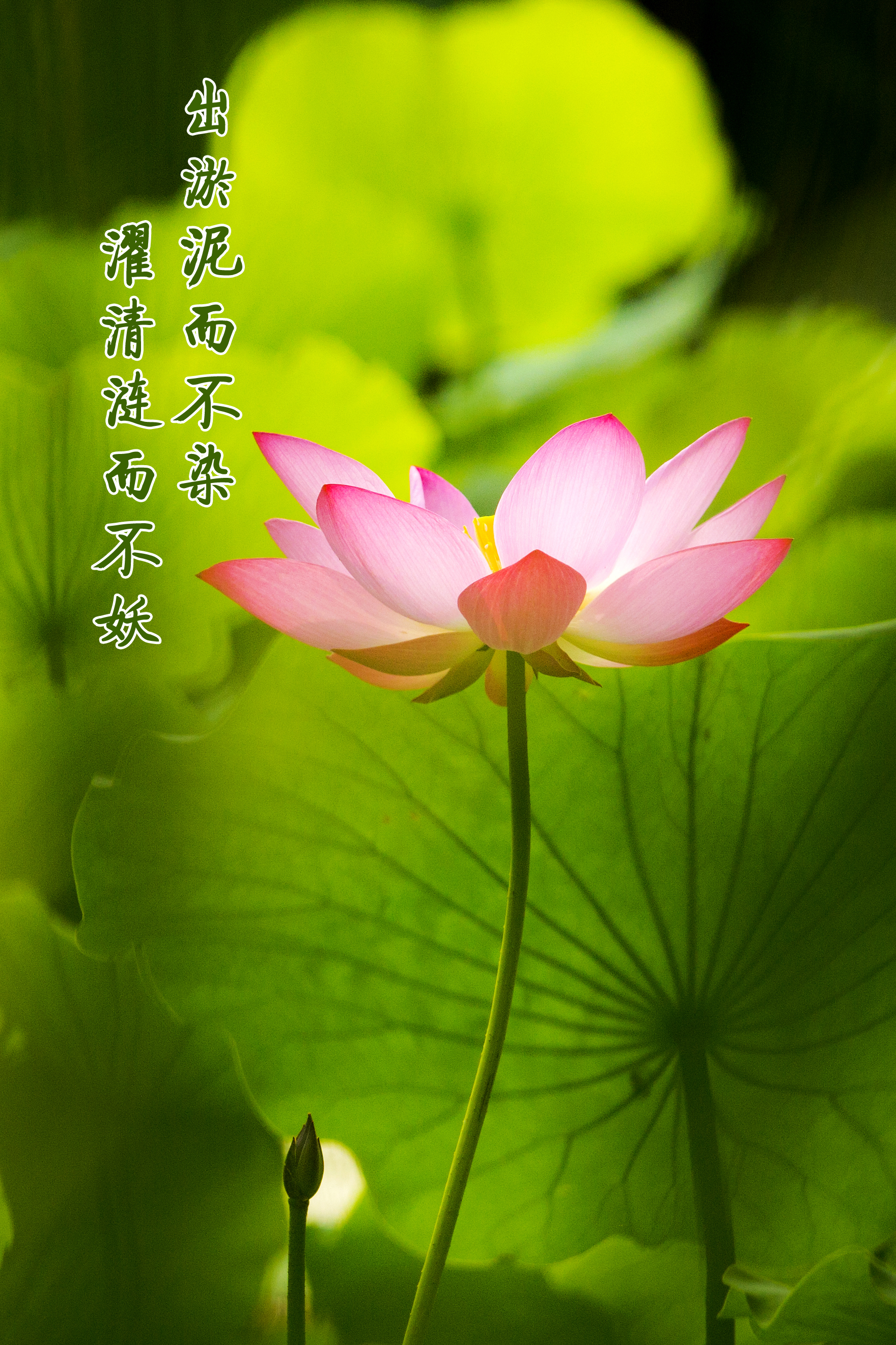万象城AWC_官网