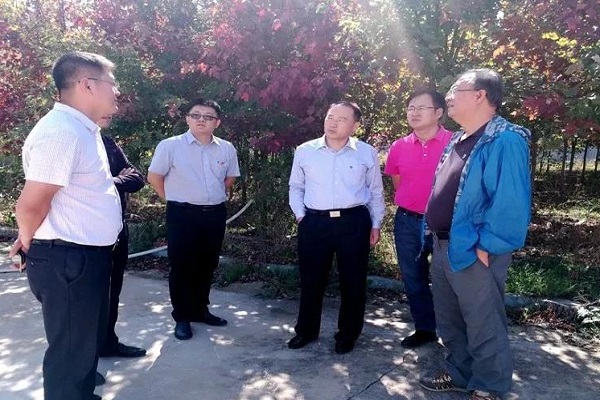 万象城AWC_官网